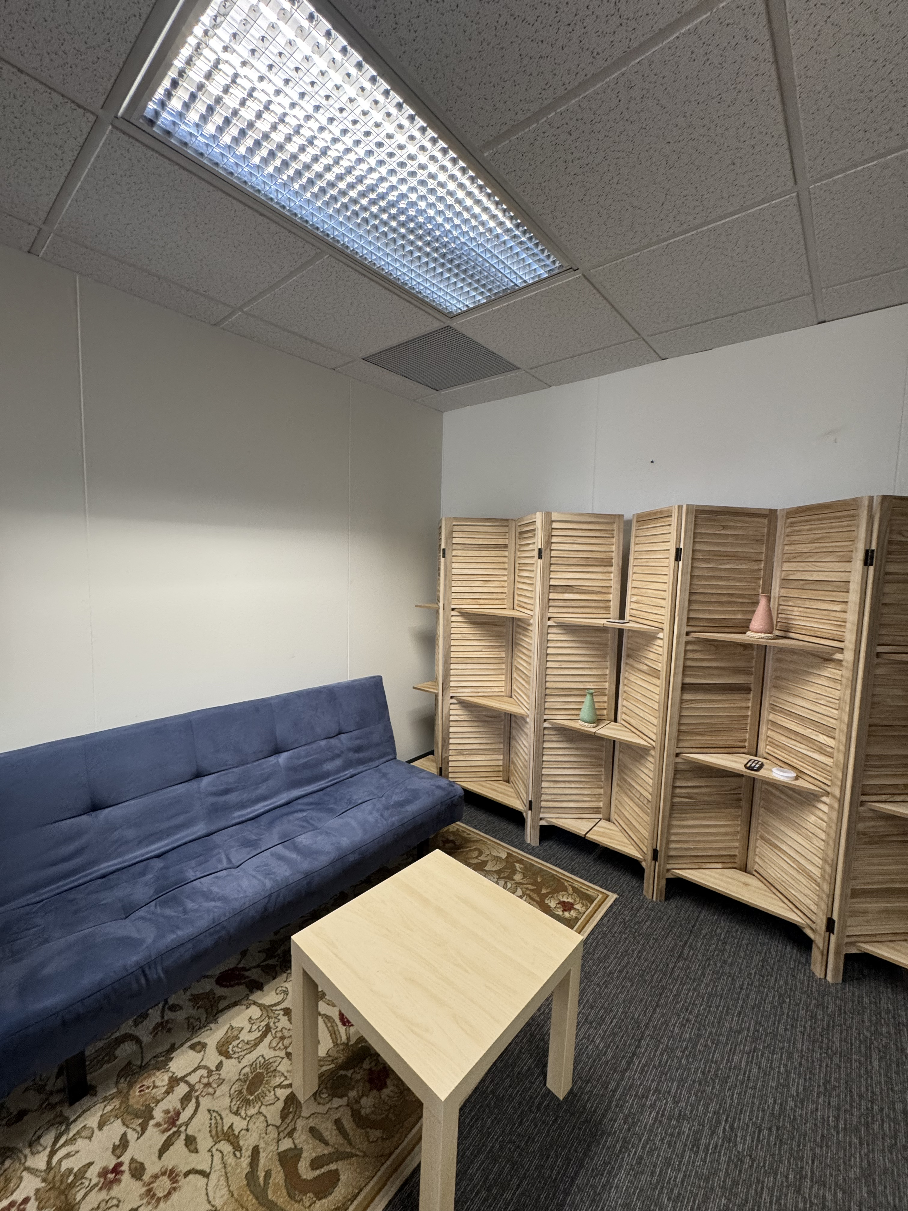 Blue couch and bookshelves in lounge area
